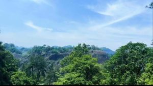 Wuyi Rock Oolong Tea: Origin & Brewing Guide wuyi mountain environment