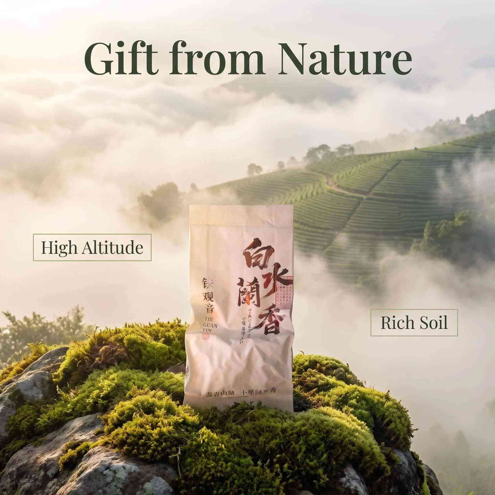 Tea mountains in Anxi Fujian where Tie Guan Yin oolong tea grows Tea mountains in Anxi Fujian where Tie Guan Yin oolong tea grows